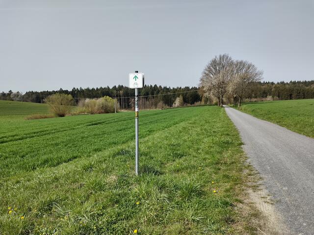 Auf der Hochebene