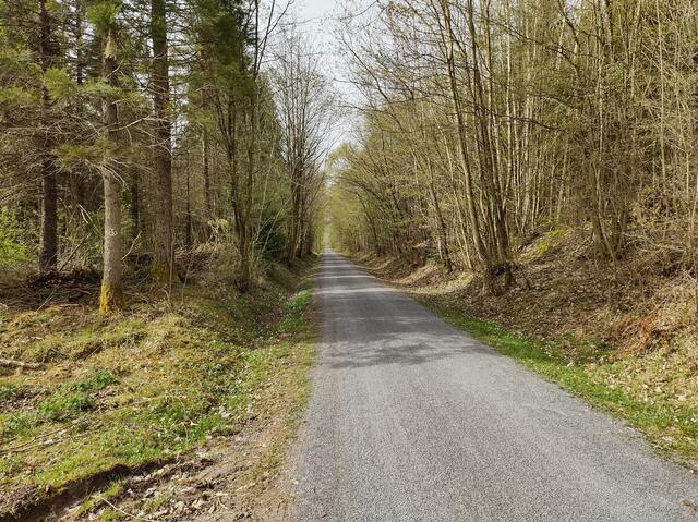 Die Wanderbahn führt durch den Wald
