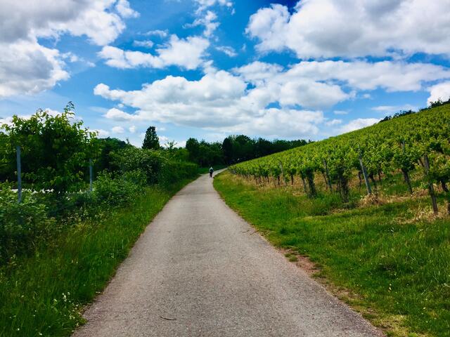 Durch die Weinberge zu den Steinskulpturen