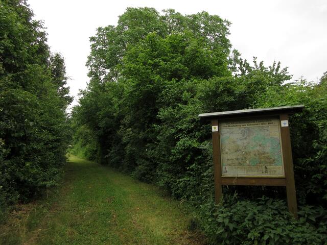 In Vorbereitung der Wanderung haben wir den Abschnitt des Landgrabens bei Lauffen aufgesucht. Hier ist der mit Dornbüschen bewachsene Wall noch zu erkennen.