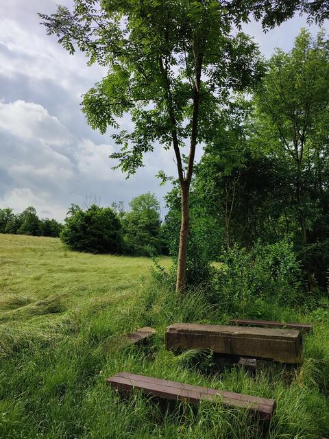Direkt am Radweg zwischen Talheim und Ilsfeld steht diese Sitzgruppe, an der man in den Württemberger Landgraben abbiegen kann. | Foto: Aurelia Kling