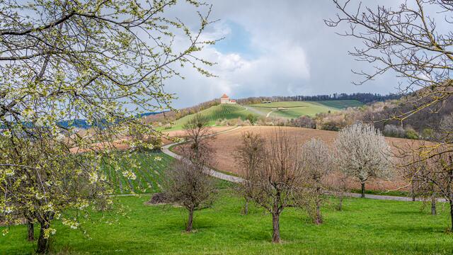 Burg (Schloss) Wildeck im Frühling