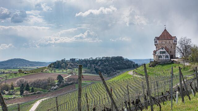 Burgruine Helfenberg und Burg Wildeck