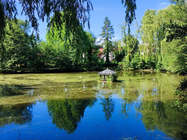 fand Reli wieder die schönsten Motive und Perspektiven im Park | Foto: Aurelia Kling