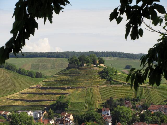 Die Kirschzweige bieten einen schönen Rahmen um die Burg