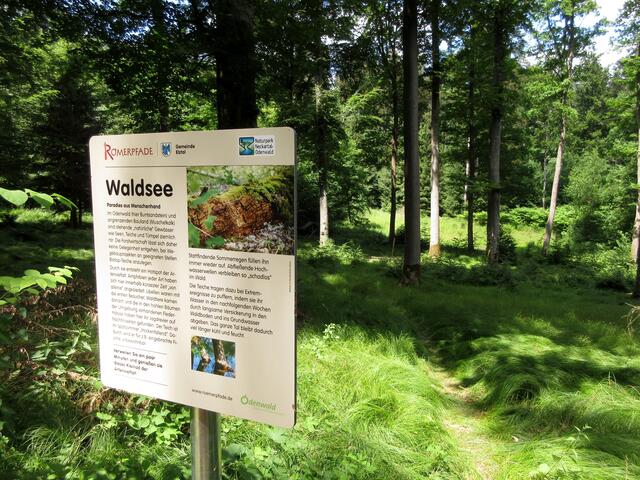 Der Waldsee ist leider komplett trocken