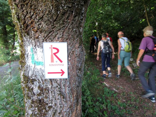 Gut ausgeschildert und ganz leicht zu finden, die Minervatour auf dem Römerpfad