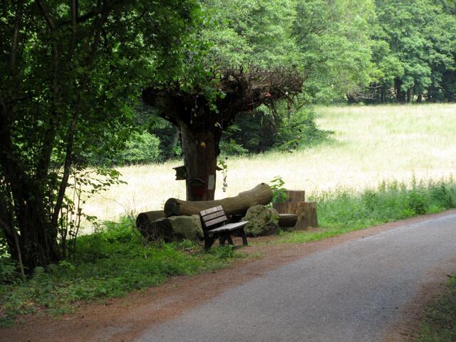 Wurzelino hat seinen Namen von den Kindern des Waldkindergartens Dallau. Er passt auf den Wald auf, wenn  der Förster nicht da ist.