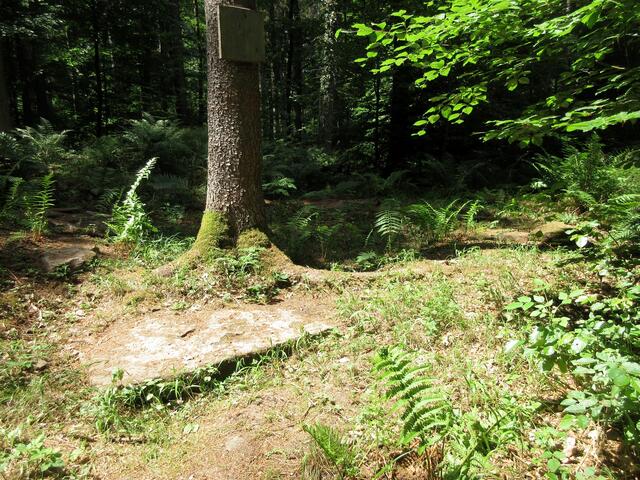 Die Wachtürme hatten eine Grundriss von 5 x 5 m. Die Palisade verlief etwa 20 m östlich. Diese Mauerreste stammen von ca. 110 - 160 n. Chr., Hinweise auf ältere Vorläufer aus Holz gibt es hier bislang nicht.