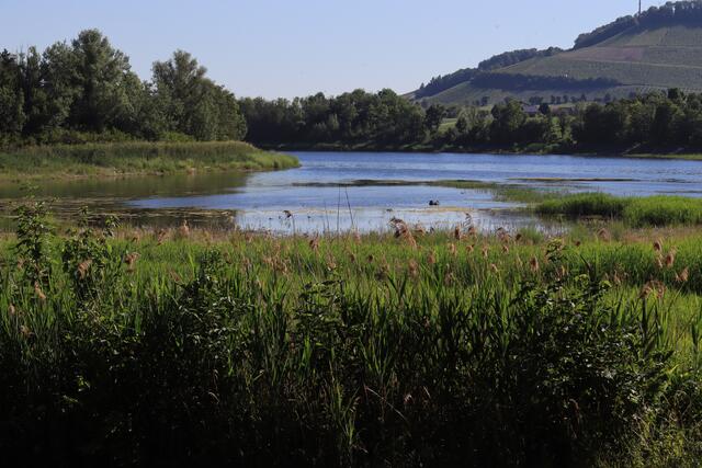 Breitenauersee 6.22