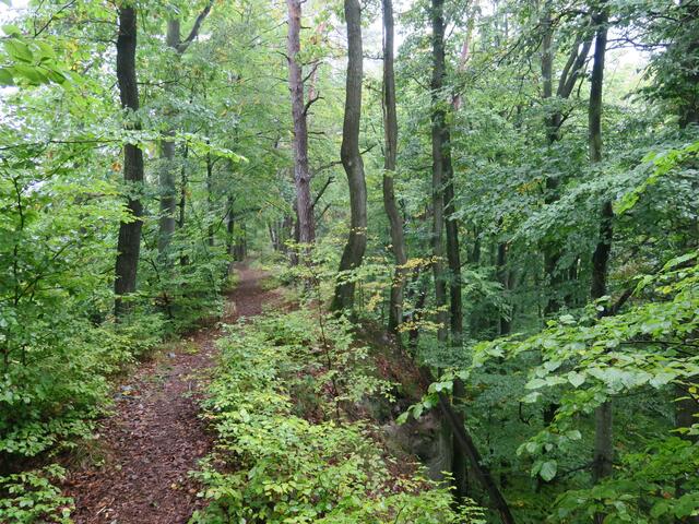 Wanderung 1
