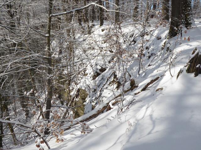 Wanderung 1