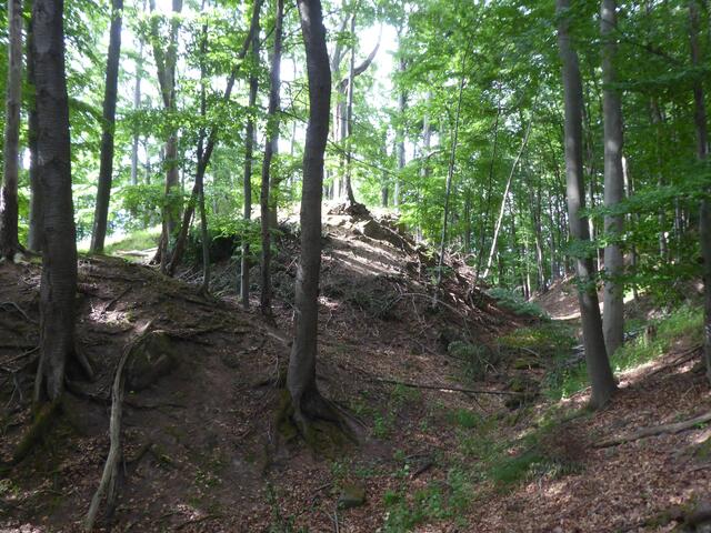 Wanderung 2 Wallanlagen Gabelstein
