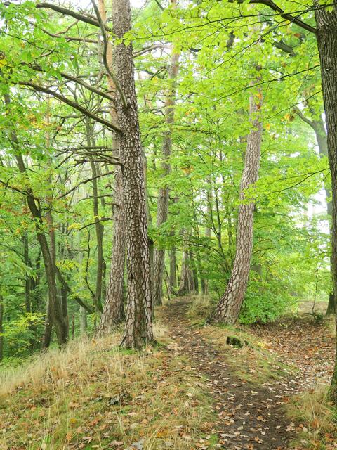 Wanderung 1