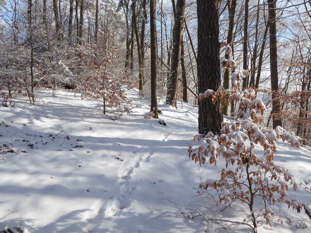 Wanderung 1