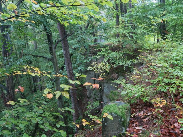 Wanderung 1