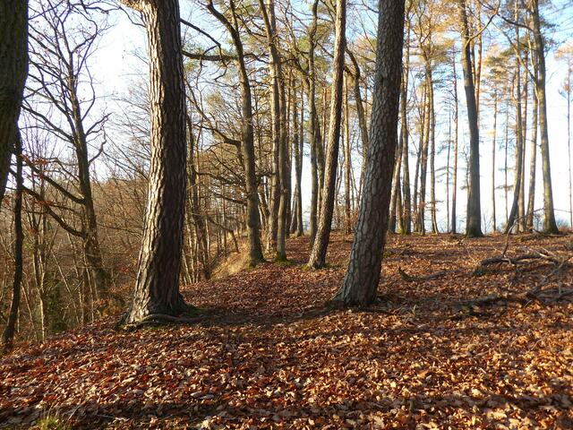 Wanderung 1