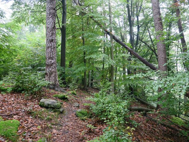 Wanderung 1
