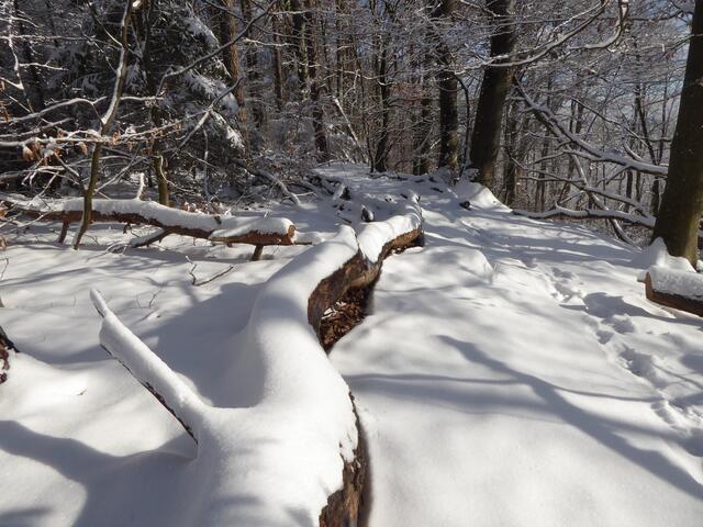 Wanderung 1