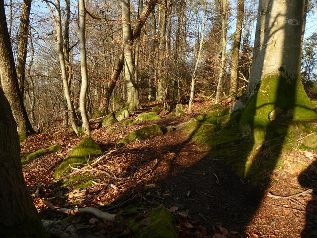 Wanderung 1