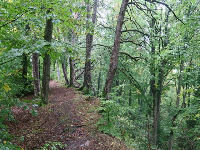 Wanderung 1