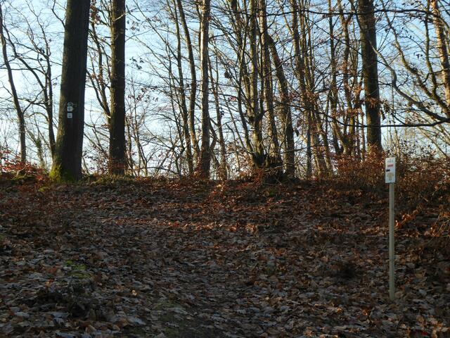 Wanderung 1 Querung an der schmalsten Stelle des Wilfersberg