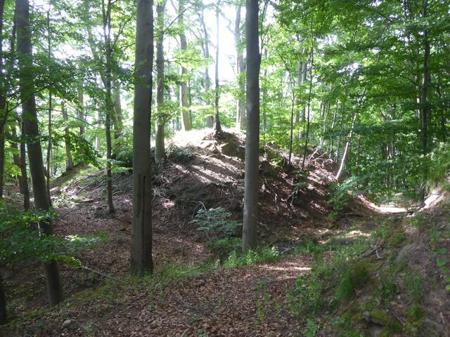 Wanderung 2 Wallanlagen Gabelstein