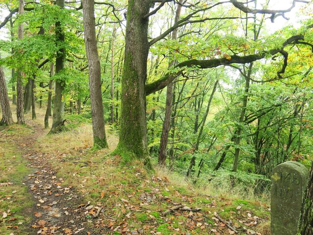 Wanderung 1