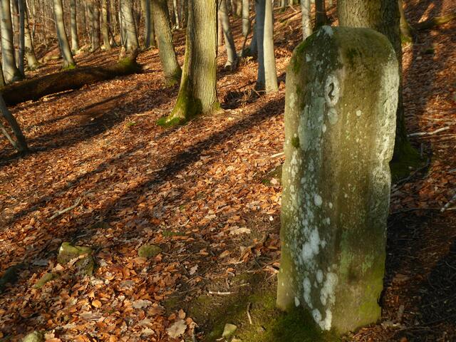 Wanderung 1