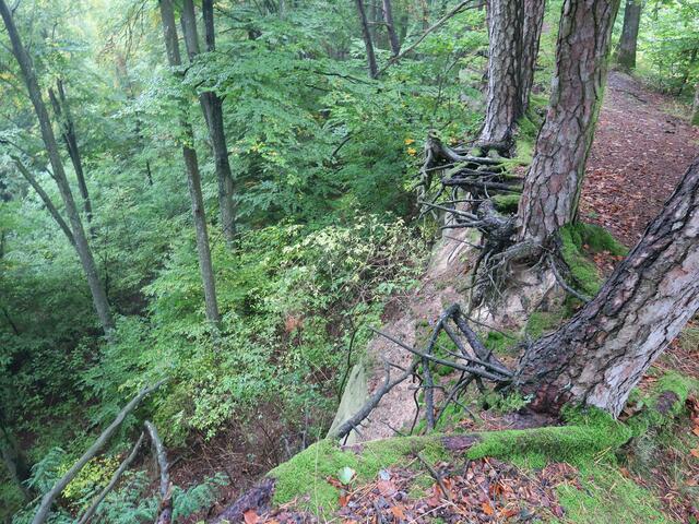 Wanderung 1