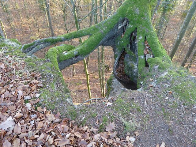 Wanderung 1