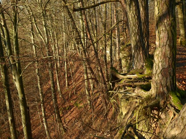 Wanderung 1
