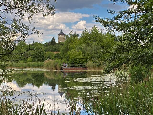 Idyllischer Ziegeleipark in Böckingen