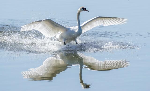 Der Landeanflug