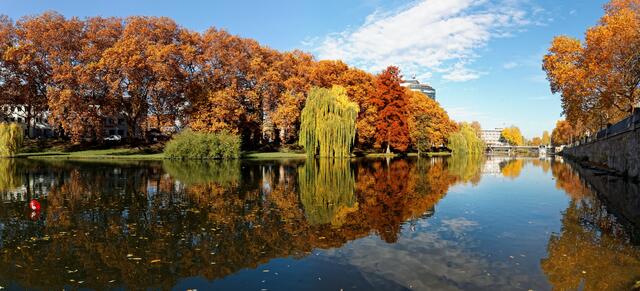 Herbst am alten Neckar