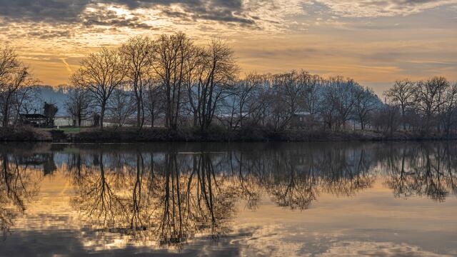 Morgenstimmung am Neckar
