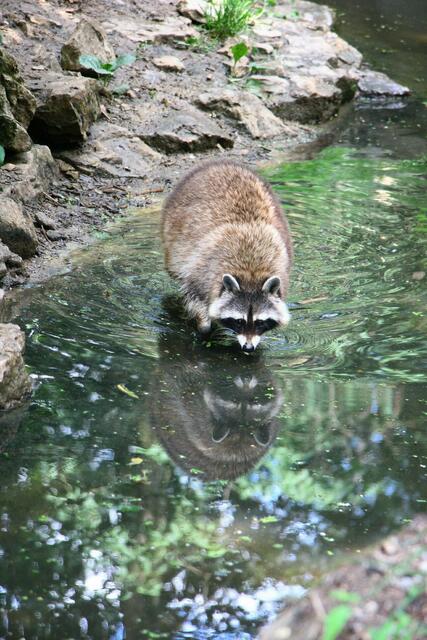Waschen macht Spaß