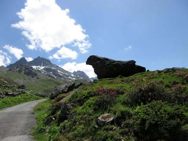 Wo der Fels wie ein Adler geformt ist, gehört zur perfekten Bergtour auch der echte Steinadler.