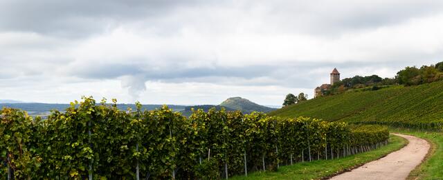 Blick auf Burg Lichtenberg