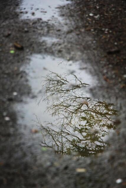 Regenwetter