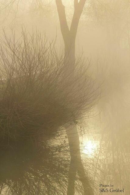 Nebel am frühen Morgen