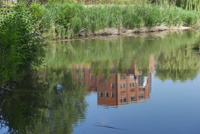 am Neckar