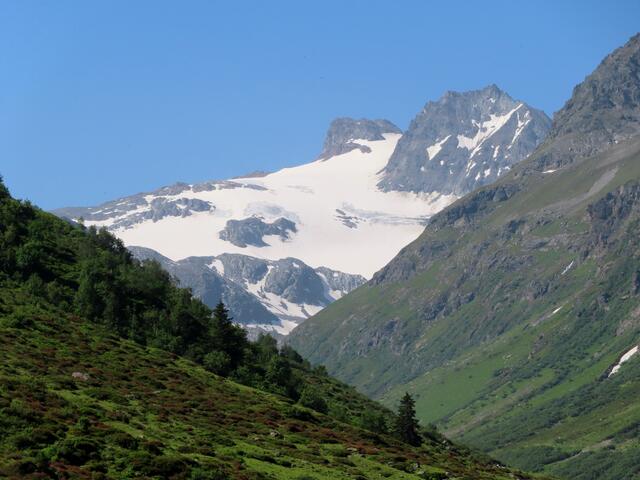 Blick zum Jamtalferner