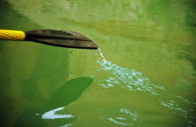 Wasser als Spiegel: Paddel