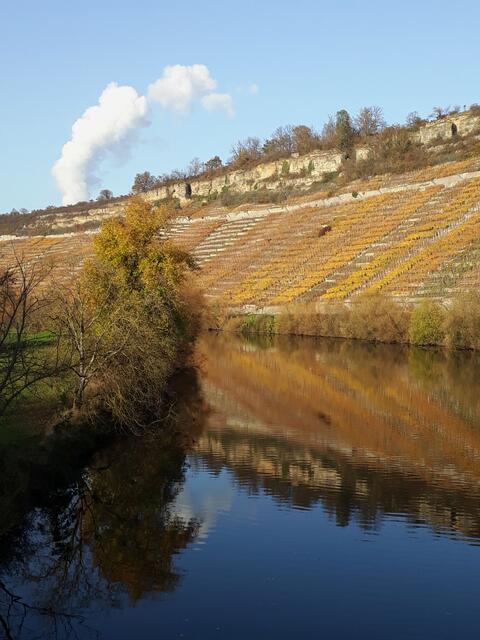 herbstliche Weinberge am Neckar