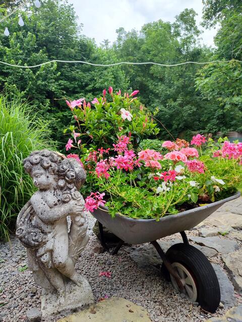 Garten im LiLu | Foto: Aurelia Kling