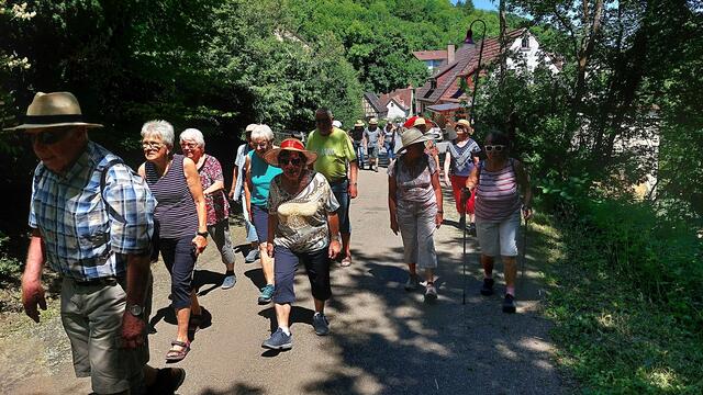 Auf dem Weg zum Tannenberg