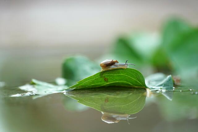 Spieglein Spieglein...