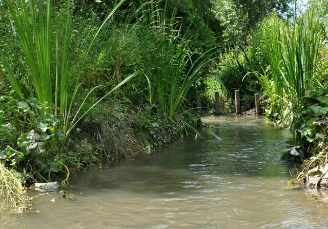 Bachlauf schön eingebettet in die Gartenschau | Foto: Daniela Somers