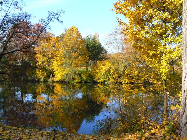 Die Enz bei Mühlacker im Herbst